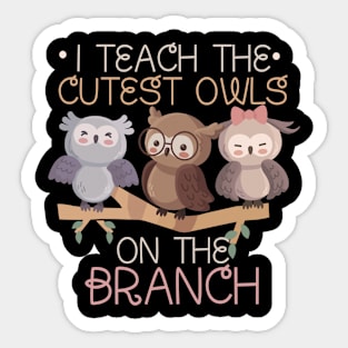 Teacher I Teach The Cutest Owls Sticker